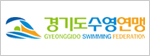경기도수영연맹