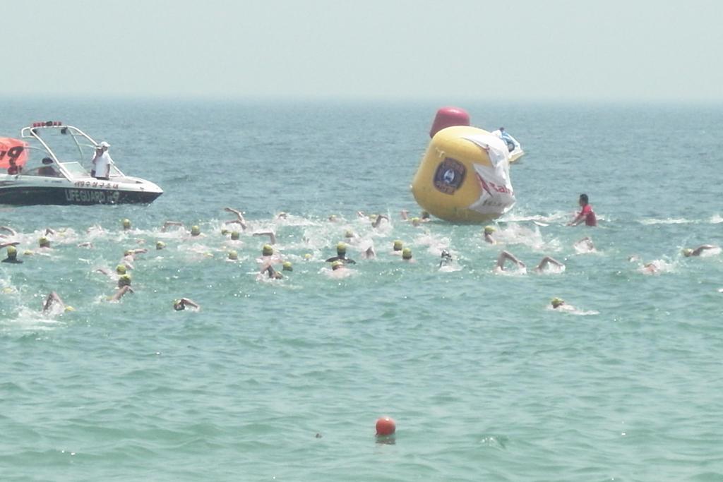 제1회 협회장배전국바다수영대회