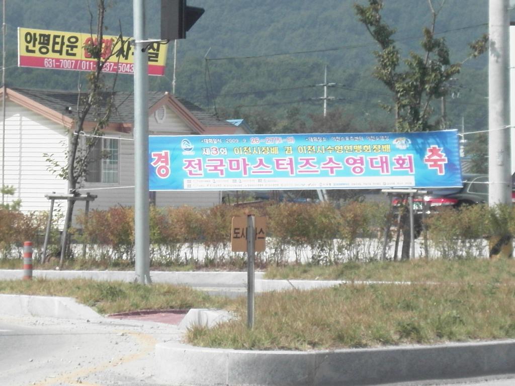 39_3.jpg